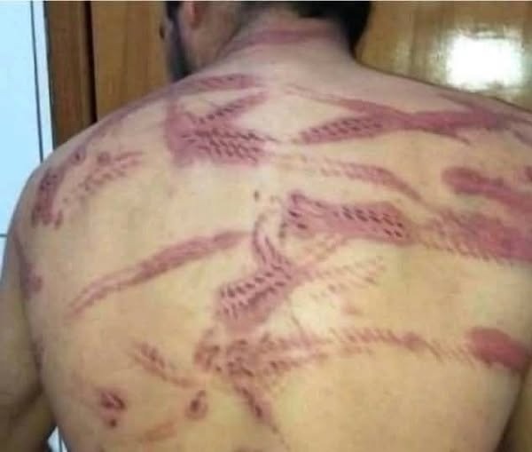 Pai faz justiça com as prórias mãos e espanca genro ao saber que a filha foi agredida pelo marido: "Em...