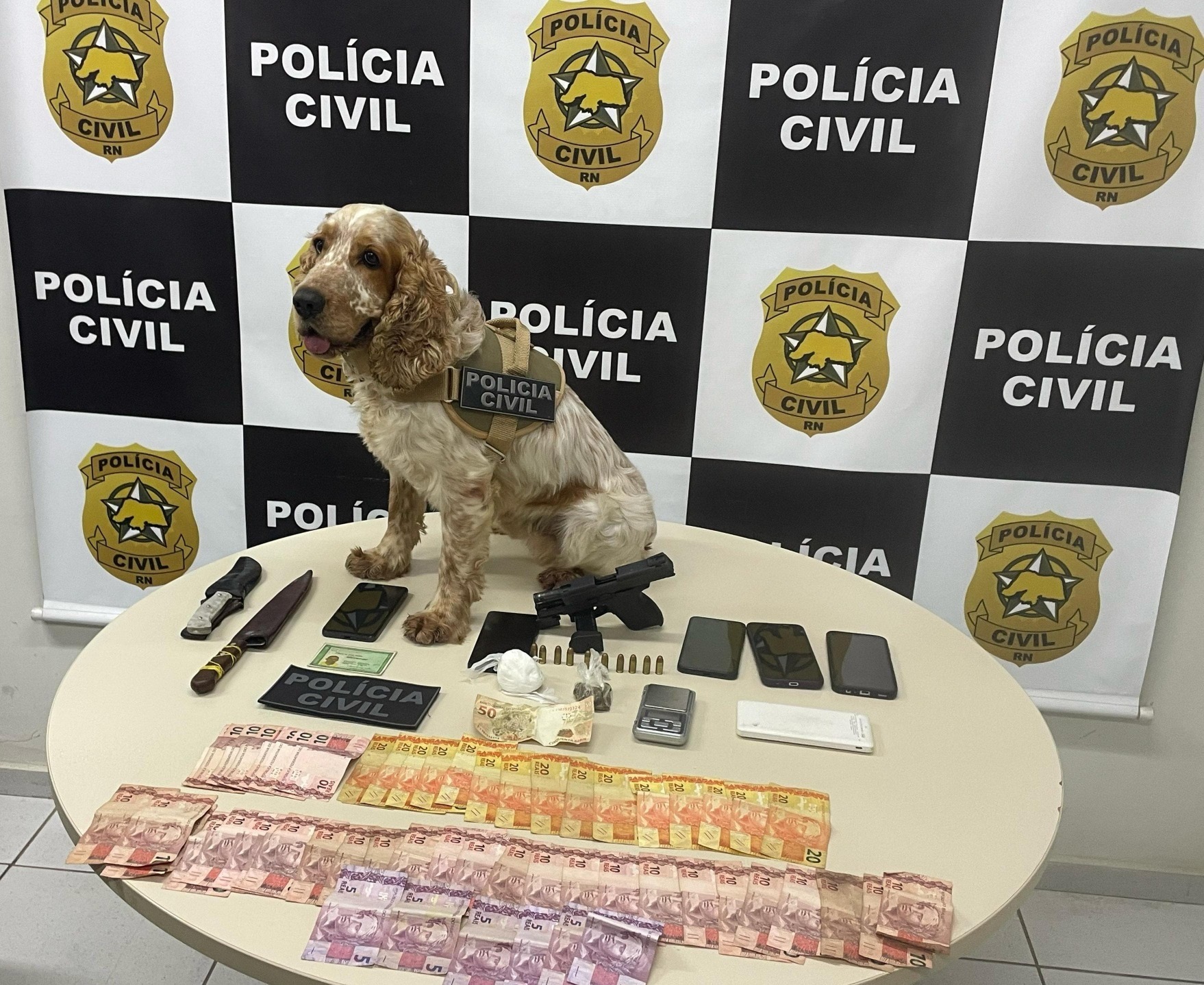 'Supercão' ajuda Polícia Civil a prender traficantes que intimidavam moradores em Pirangi
