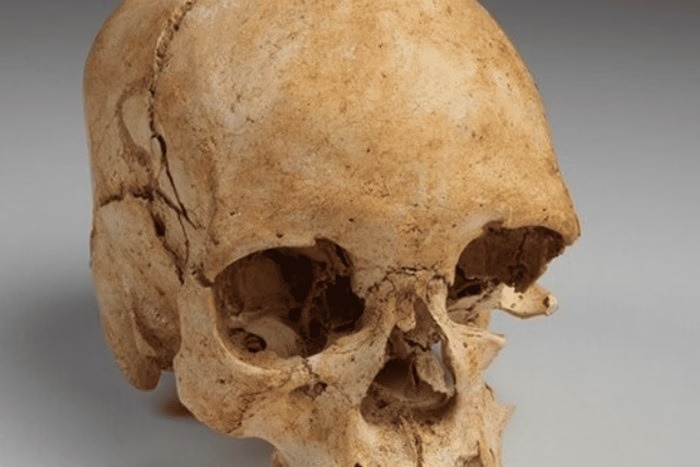 Possível crânio humano é encontrado em altar de centro espírita