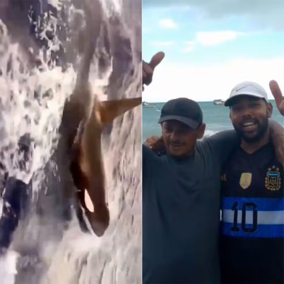 VÍDEO: Baleia orca é flagrada por pescadores no mar do RN