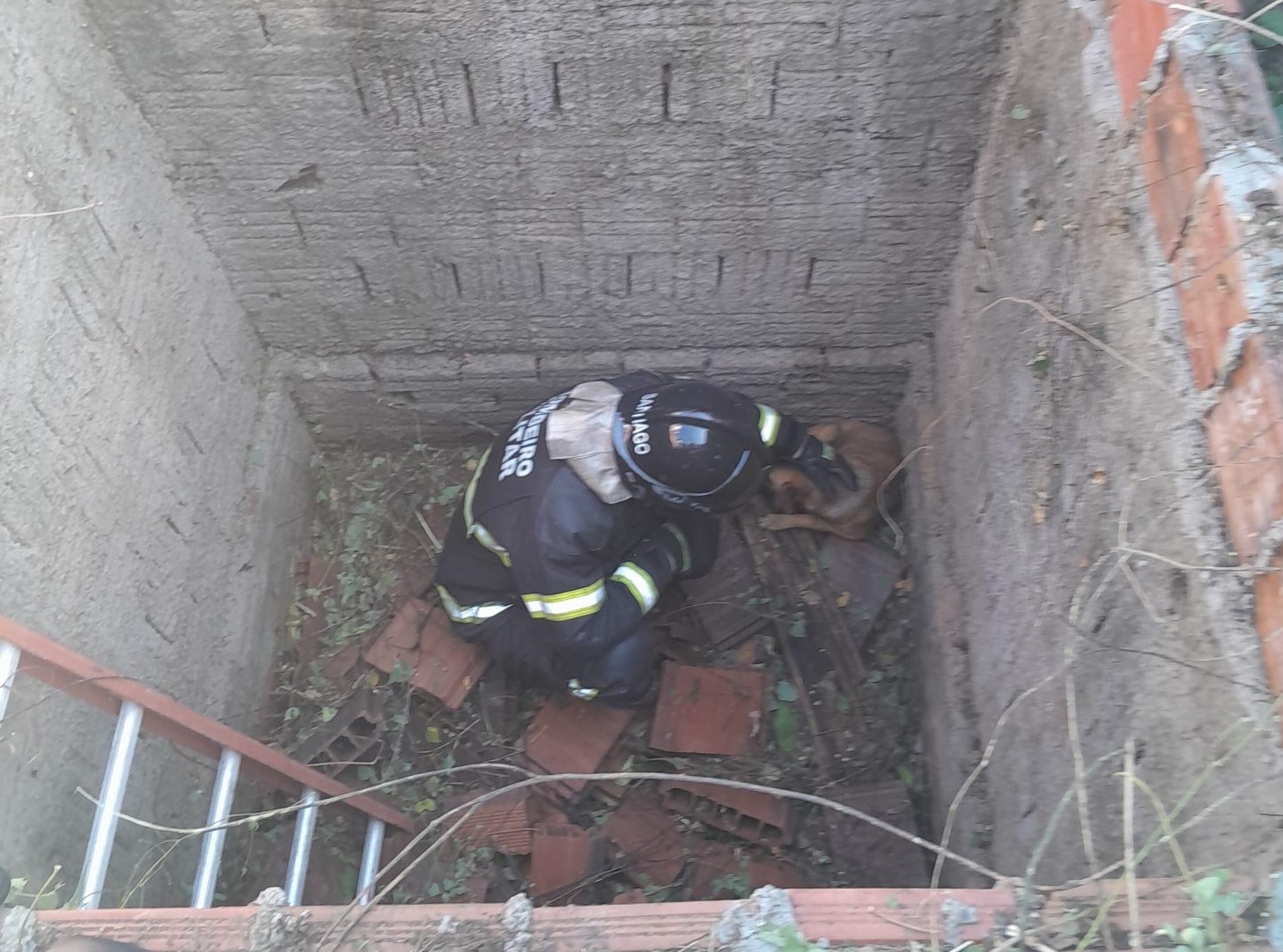 Bombeiros resgatam dois cães de dentro de fossa no RN