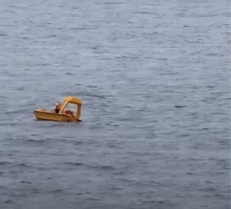 VÍDEO: Criança cai do 4º andar de navio da Disney e pai se lança ao mar para resgata-lá