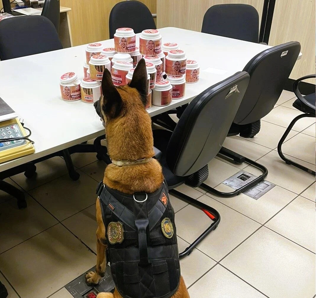 PF apreende 6,2 kg de skank no Aeroporto de Natal com ajuda de cães farejadores