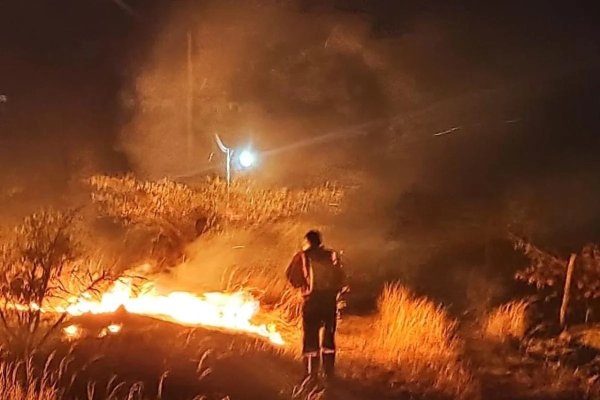 Incêndio em vegetação mobiliza bombeiros na região do Seridó