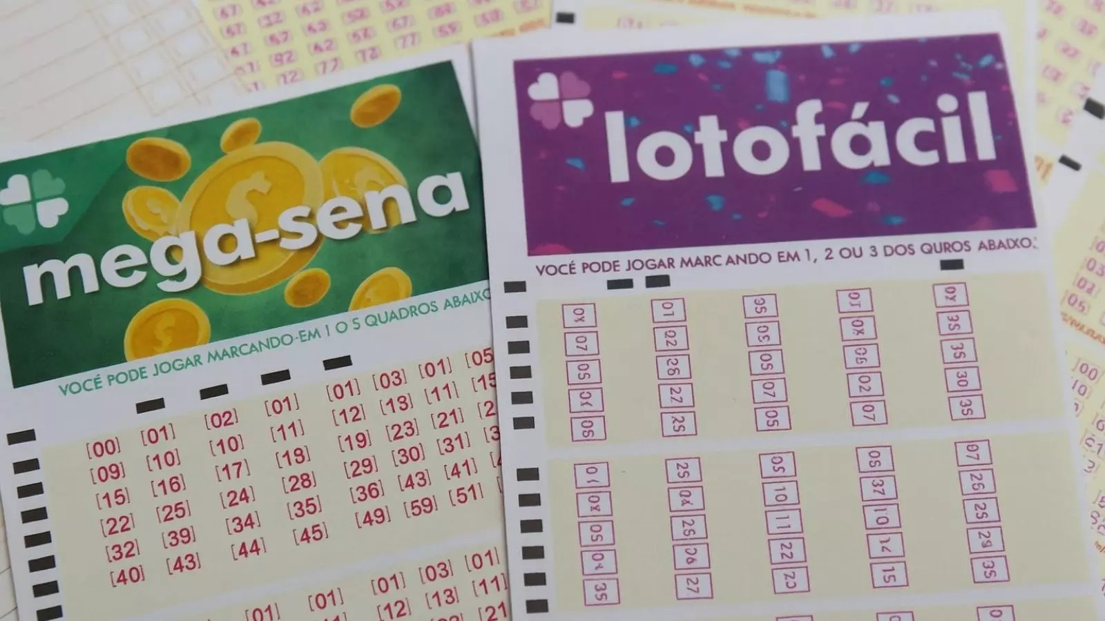 Loterias Caixa terão apostas mais caras a partir desta quarta-feira; veja valores