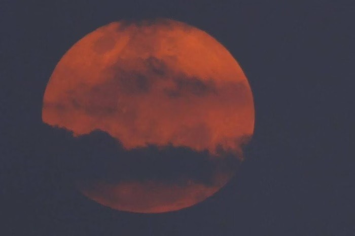 Saiba o que é “Lua do veado”, fenômeno que ocorrerá na noite desta quinta (10)