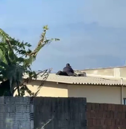 VÍDEO: Após 4h e tentativas frustradas de negociação, ocorre nova intensa troca de tiros em Extremoz