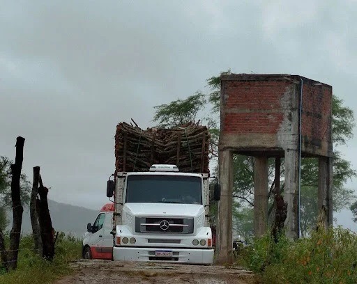 Homem morre eletrocutado ao encostar em fio de alta tensão enquanto descarregava lenha em caminhão no interior do RN