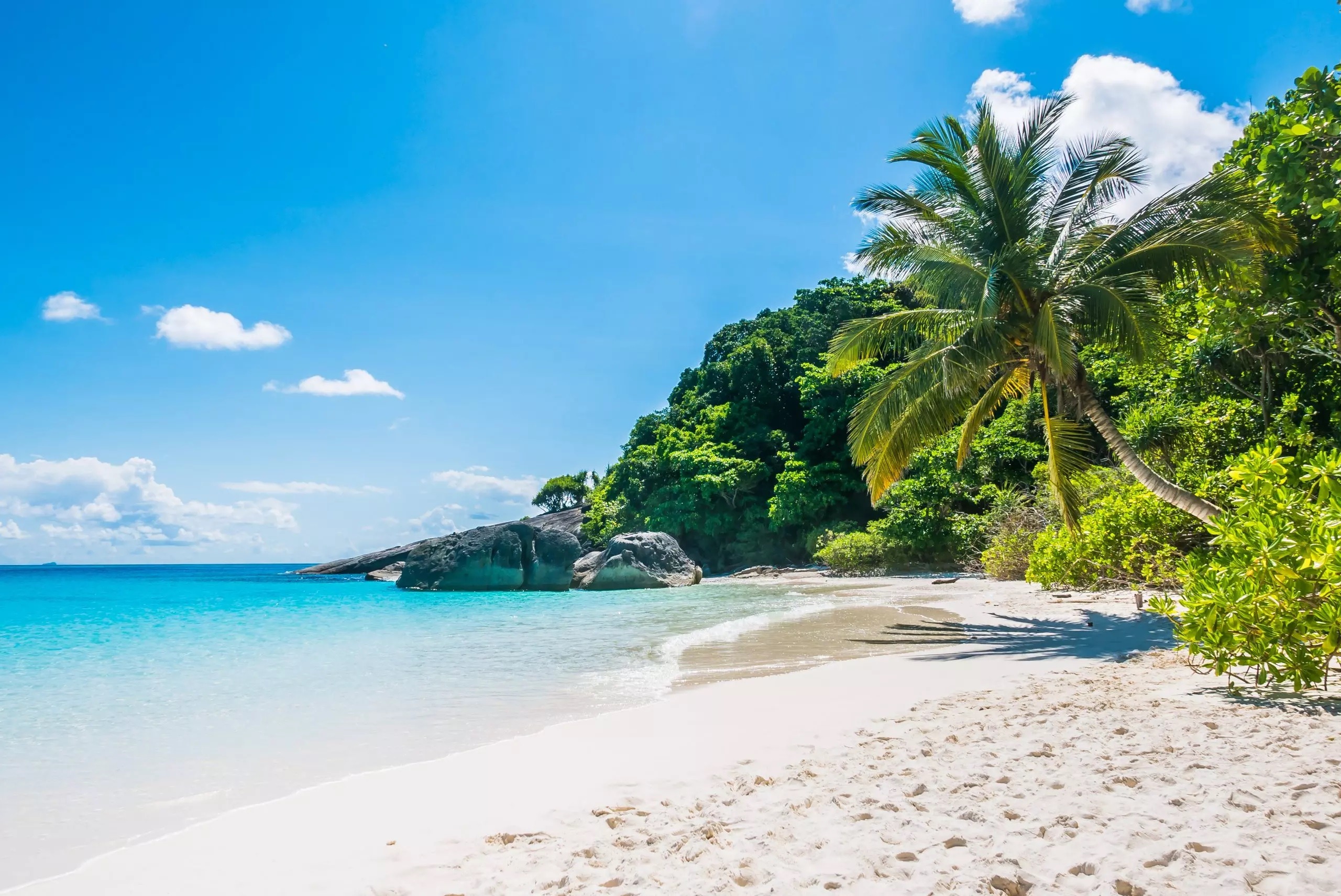 Praia é mais que lazer: ciência mostra efeitos de cura do mar