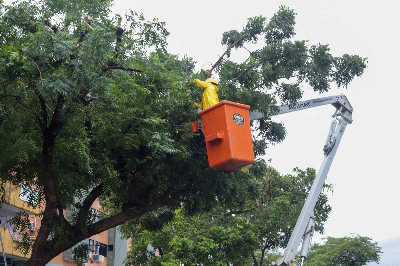 Prefeitura de Natal realiza intervenção na Avenida Mossoró nesta quinta-feira (21)