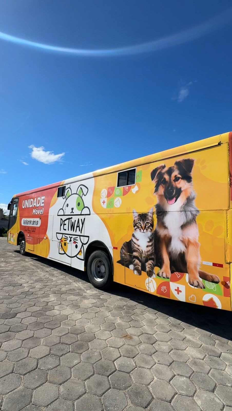 União Pet Brasil celebra 3 anos com uma ação de 3 mil castrações gratuitas em Natal  