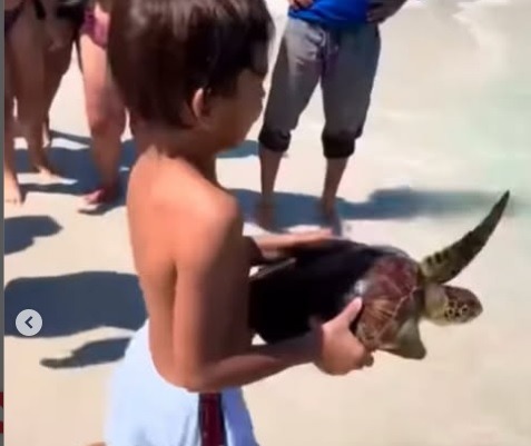 VÍDEO: Criança devolve tartaruga ao mar após réptil ser capturado em pesca