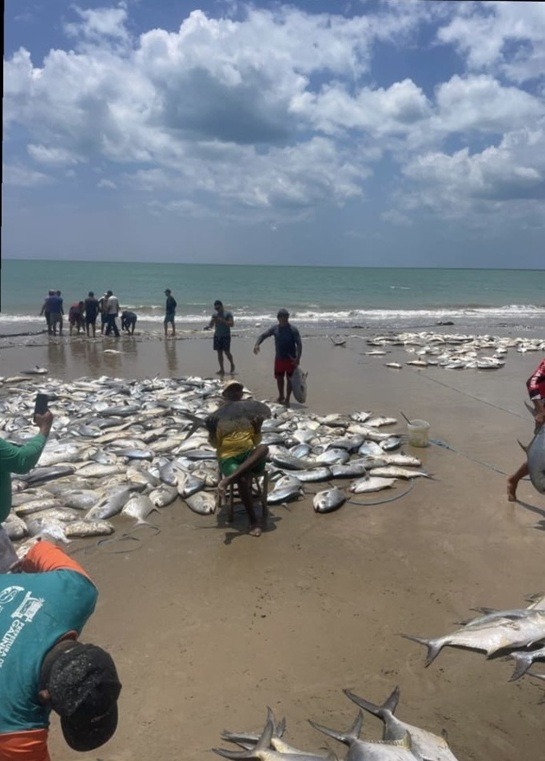 VÍDEO: pescadores de Galinhos celebram temporada histórica de pesca