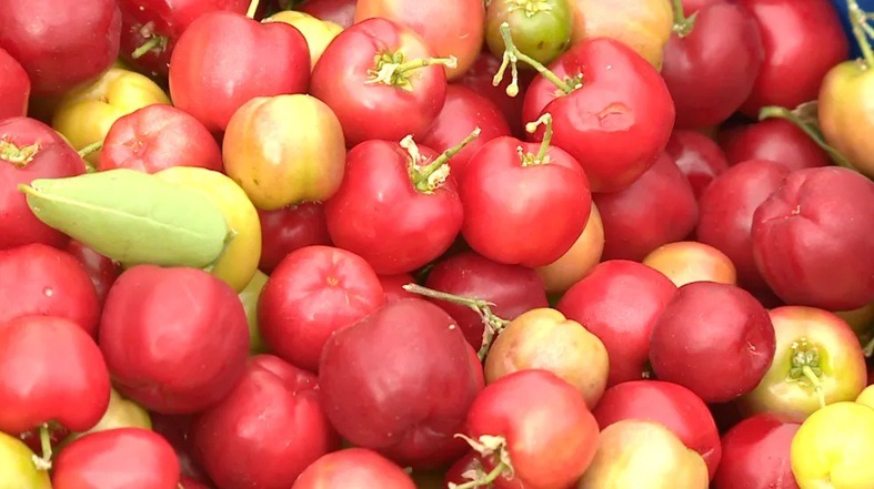 7 frutas que contêm mais vitamina C que laranjas