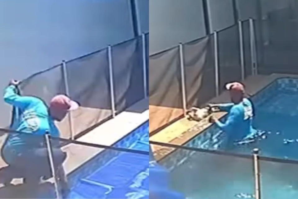 VÍDEO: Homem salva cachorro cego prestes a morrer no fundo de piscina