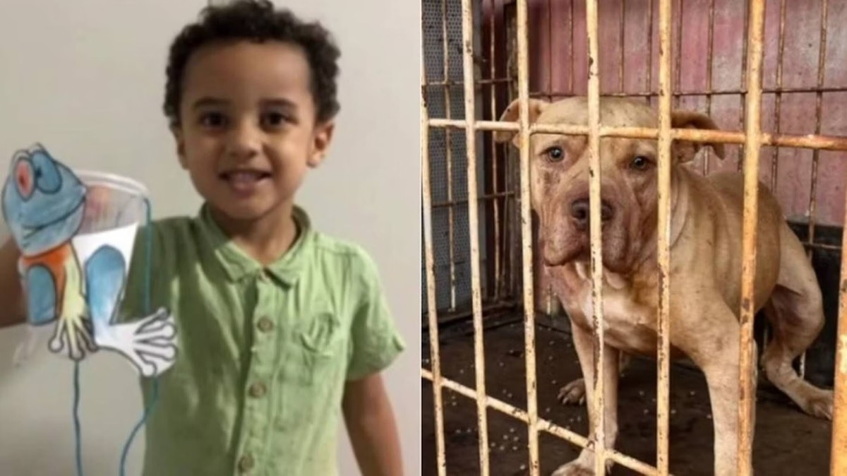 Justiça concede perdão a mãe de menino morto após ataque de pit bull
