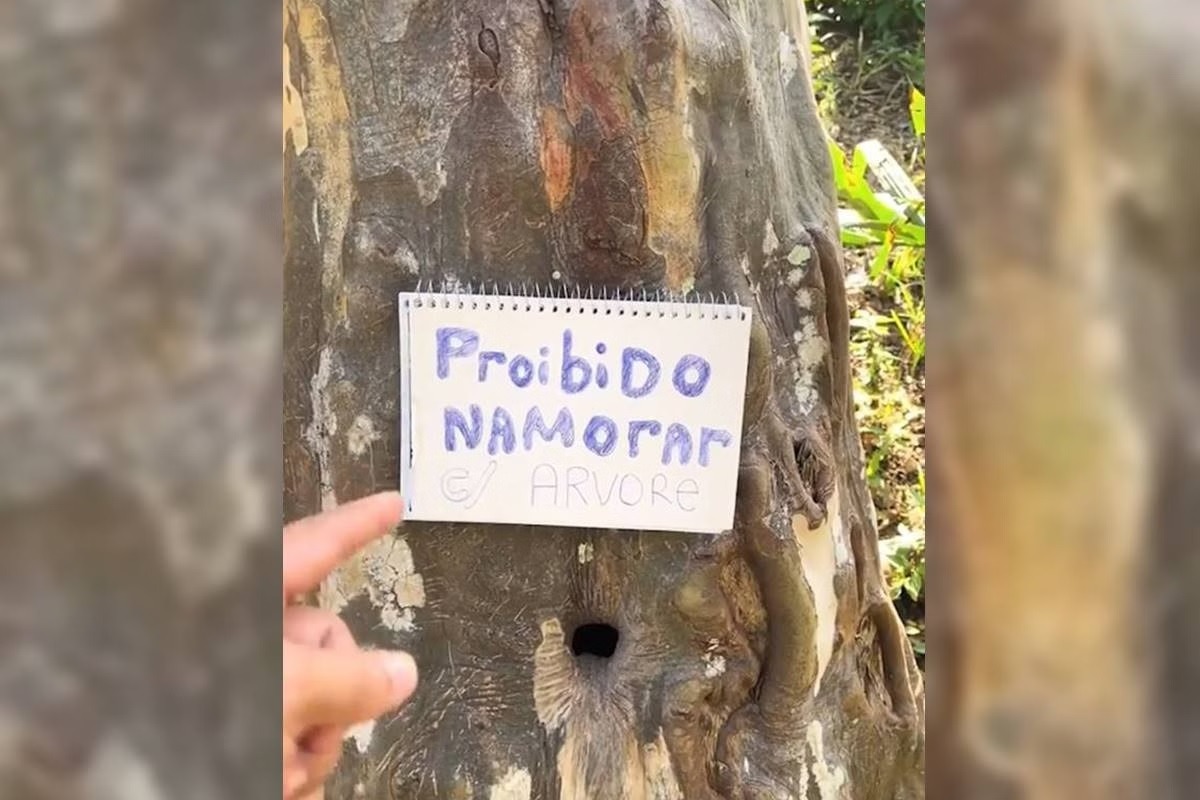 [VIDEO] BIZARRO: Morador precisa usar pimenta para jovens não transarem com buraco de árvore