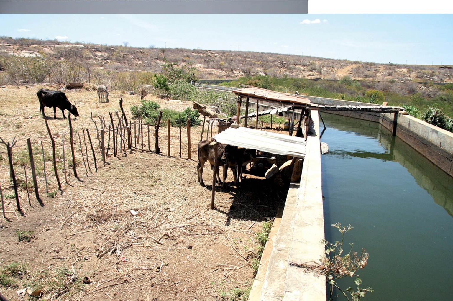 Seca atinge 83% do estado e governo limita uso da água no Canal do Pataxó