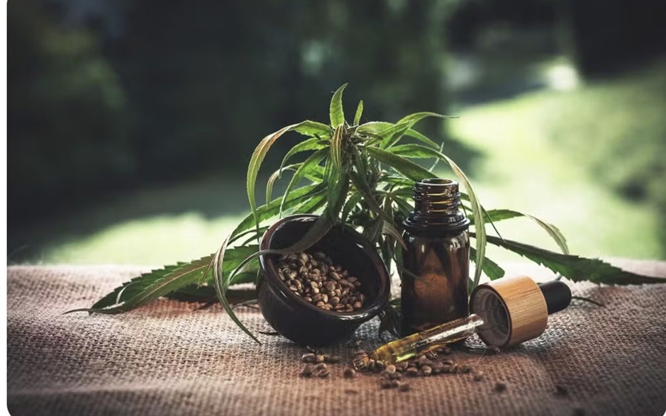 Justiça autoriza Associação do RN a cultivar maconha para uso medicinal