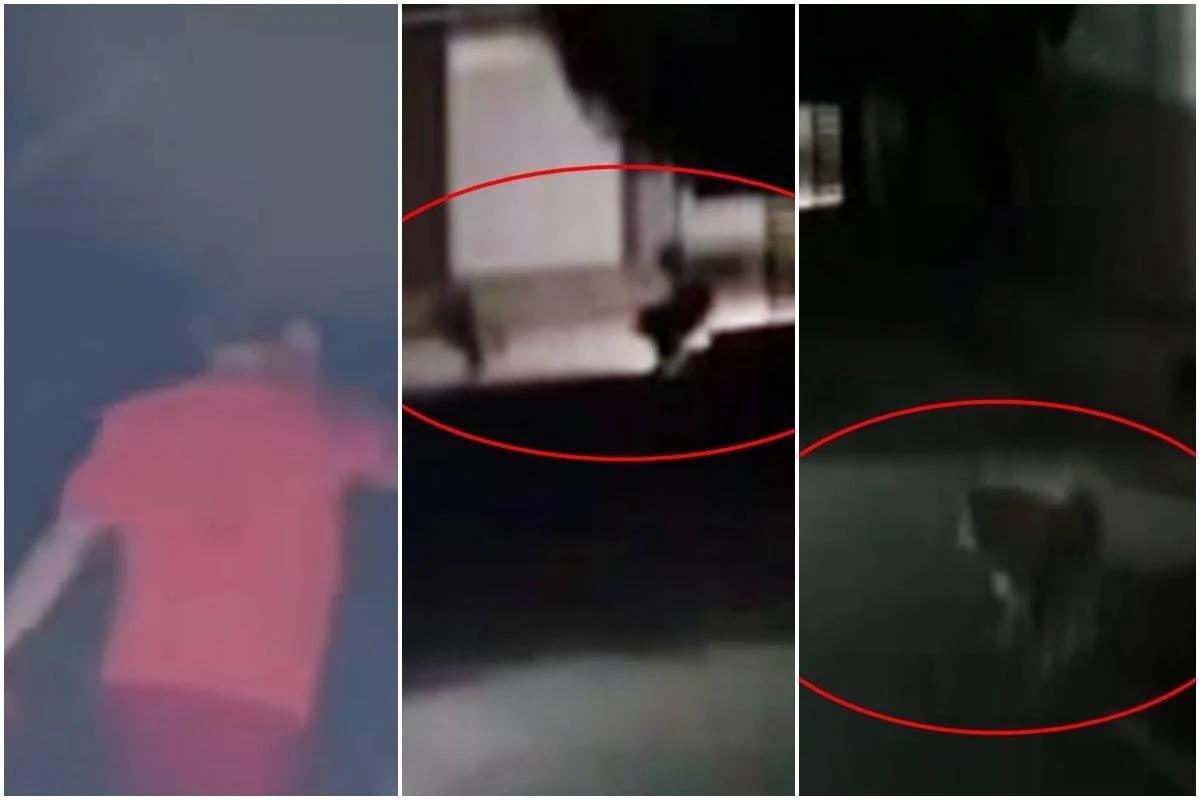 [VÍDEO] Veja momento em que procurador-geral é executado ao andar com cachorro