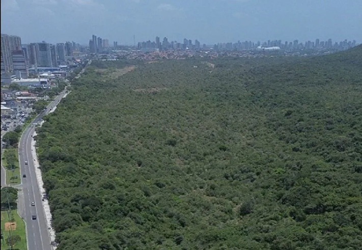 Idema recomenda novo local para construção do Parque Linear; vereadores divergem sobre a obra