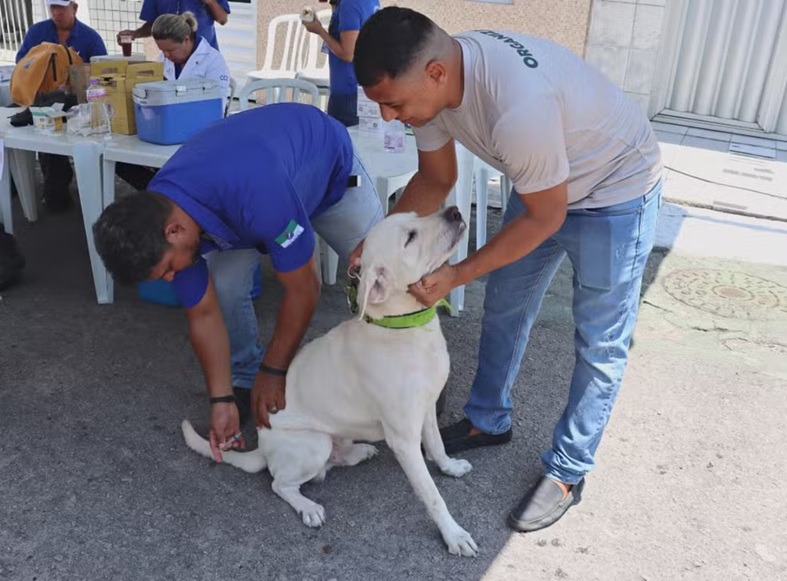 Natal vacina mais de 87 mil animais contra a raiva e prorroga campanha de imunização até 31 de outubro