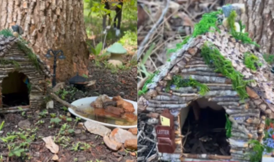 Menino faz amizade com animal inusitado e cria casa para novo pet