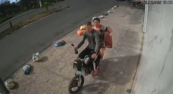 Seis filhotes são abandonados dentro de sacola em frente a pet shop em Natal