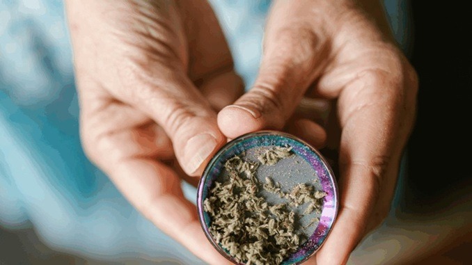 Anvisa proíbe venda de produtos de cannabis e cogumelos