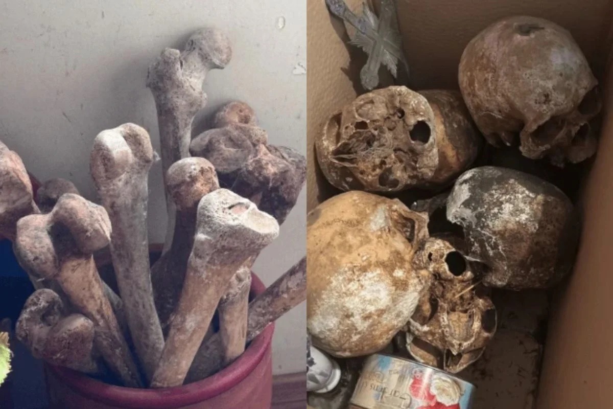 Crânios e ossos humanos são encontrados dentro de apartamento