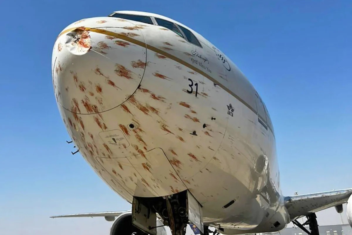[VÍDEO] Avião atinge pássaros na decolagem e fica coberto de sangue