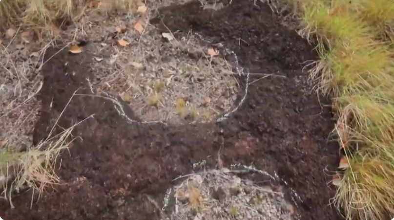 Pegadas de dinossauros são descobertas na Amazônia