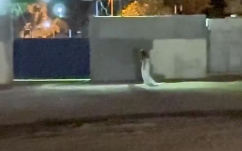 VÍDEO: Vestida de noiva, mulher chama atenção ao andar em frente a cemitério
