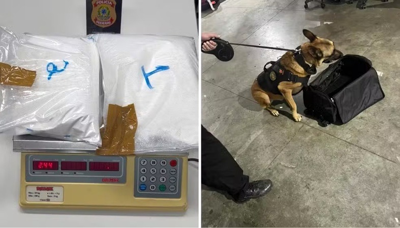 Alemão é preso em flagrante após cão farejador encontrar cocaína em mala no Aeroporto de Natal