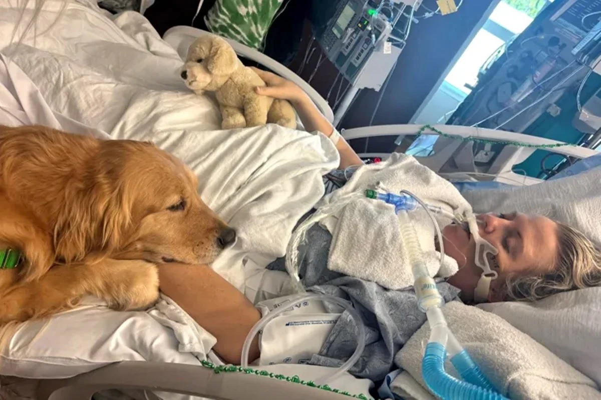 Cão visita tutora em coma induzido e causa mudança surpreendente