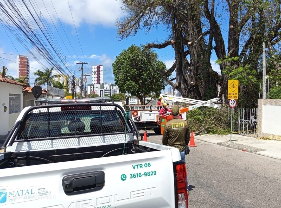Semurb faz operação emergencial após risco de queda do Baobá do Poeta em Natal no fim de semana