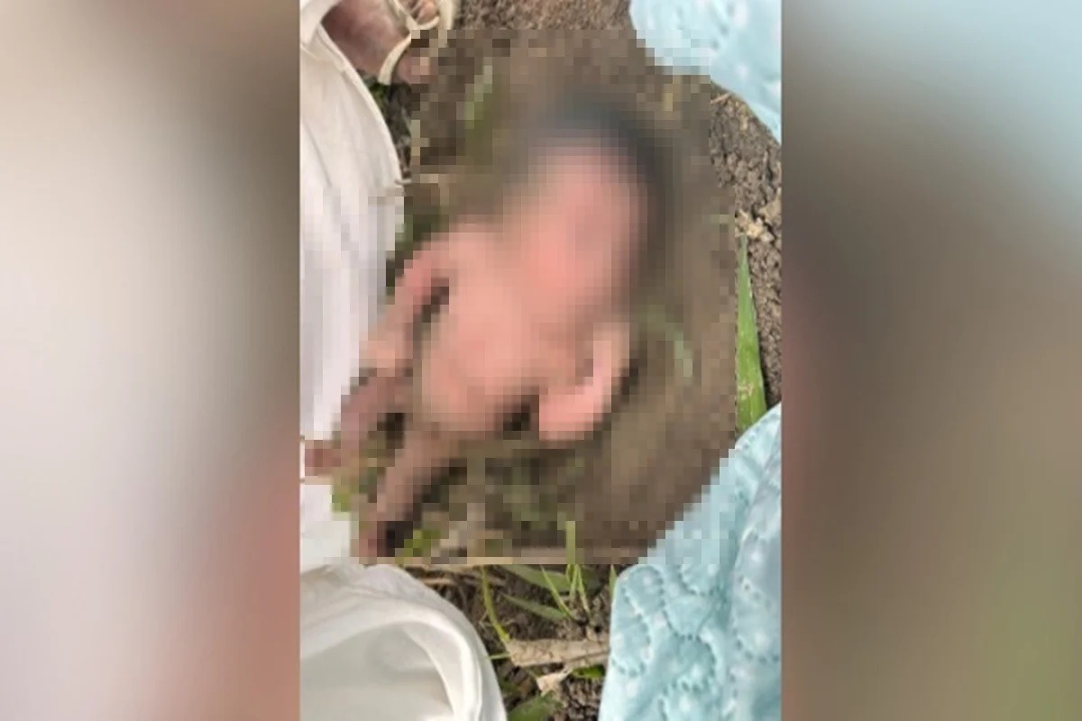 Moradores ouvem choro e acham recém-nascida abandonada em formigueiro