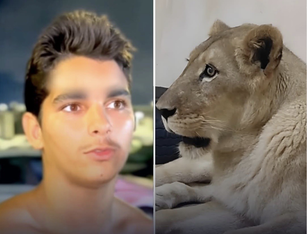 Jovem morto por leoa em zoológico já foi preso 10 vezes e solto há 2 dias