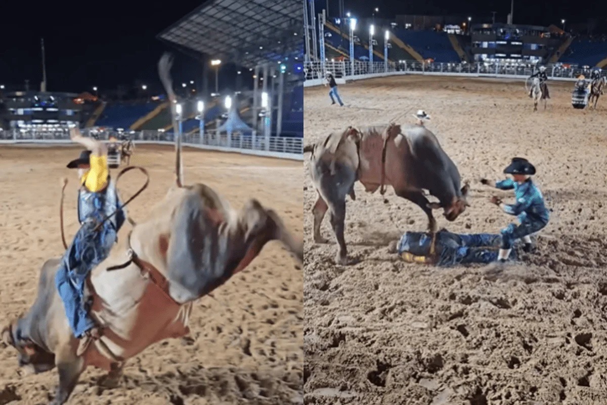 [VÍDEO] Peão fratura costela após desmaiar e ser pisado por touro em rodeio; veja