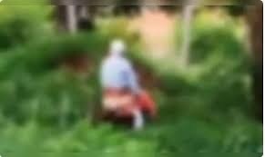 “Metendo a vara”: idosos são flagrados fazendo sexo em área pública