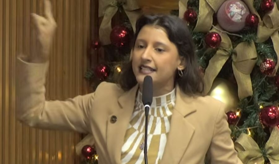 Brisa rebate vereador e dispara: "Sua denúncia é mentirosa e o senhor é fascista"