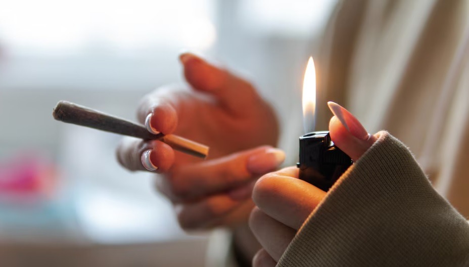 Consumo de cannabis triplicou entre meninas e mulheres no Brasil, aponta estudo