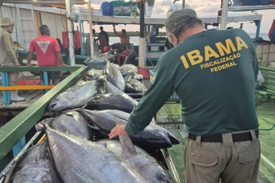 Ibama apreende 2,3 toneladas de pescado em operação contra pesca ilegal no RN