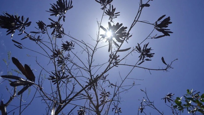 Caicó registra 38,8 °C e é a segunda cidade mais quente do Brasil durante onda de calor