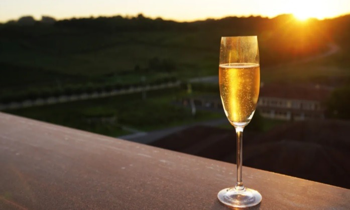 Espumante, moscatel e frisante: diferença entre eles está no teor de açúcar, tipo de uva e formação das bolhas