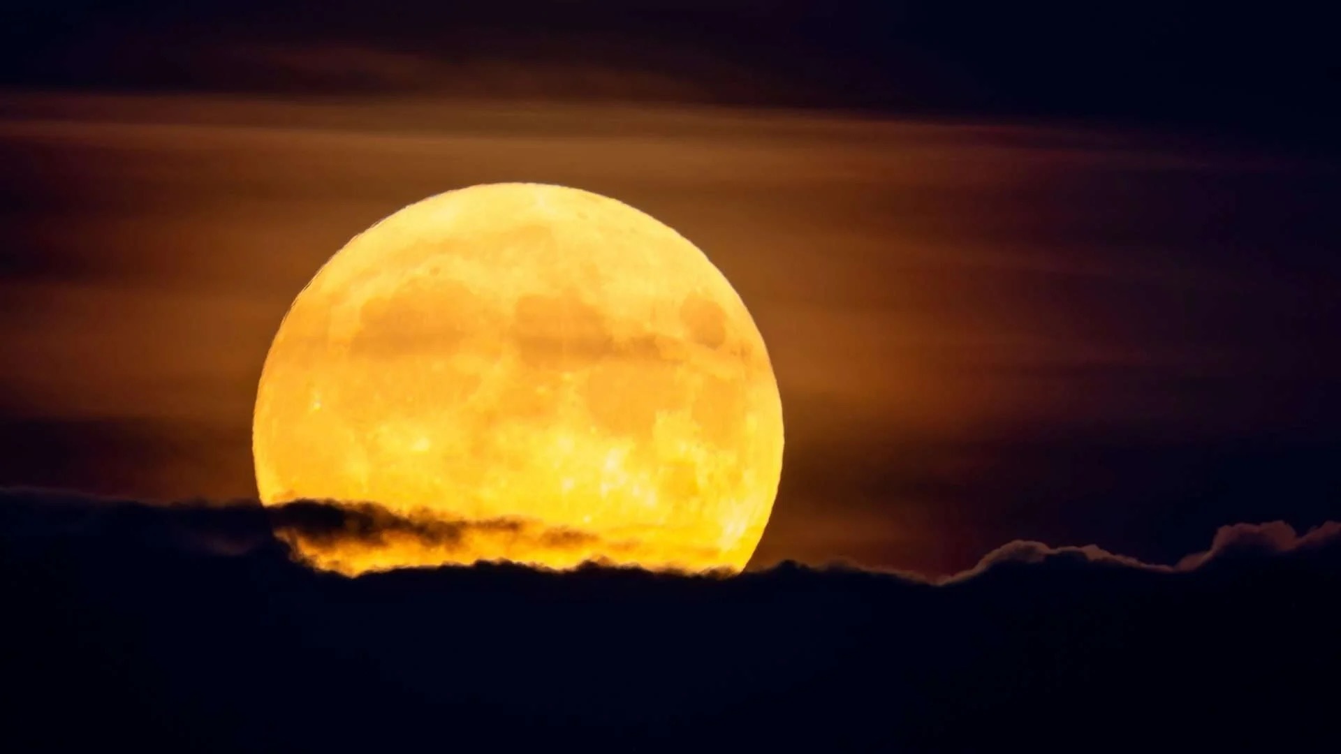 Primeira superlua de 2026 ocorre neste sábado (3); saiba o melhor momento para observá-la