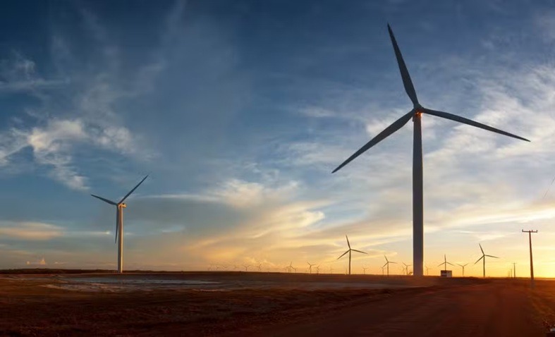 Como o RN virou potência da energia limpa e passou a gerar 98% da eletricidade a partir de fontes renováveis