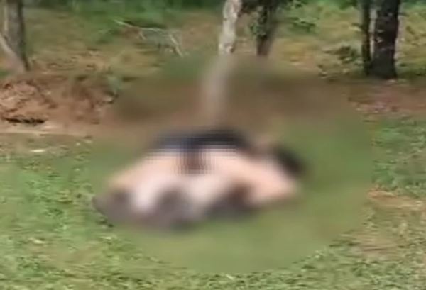 [VÍDEO] Casal é flagrado em momento íntimo em parque e revolta famílias