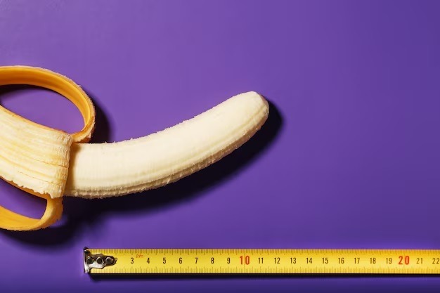 Estudo revela razões para que o pênis humano seja relativamente grande