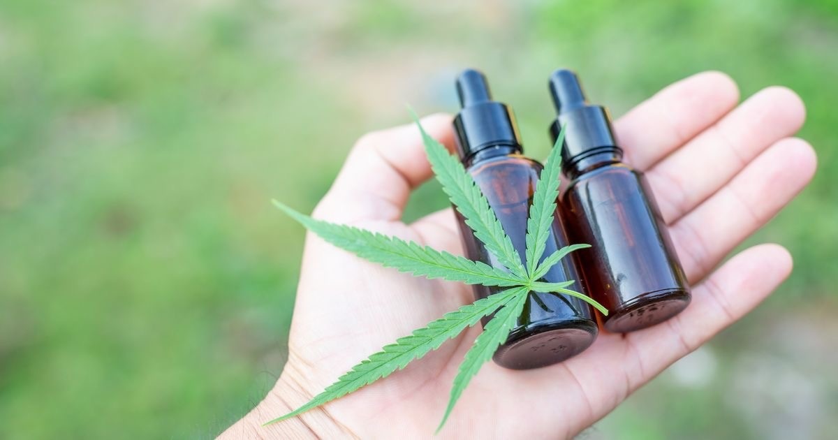 Anvisa expande uso da Cannabis medicinal e deve aprovar cultivo no Brasil